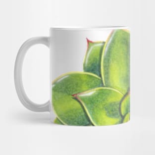 Delicious Succulent Flowers Mug